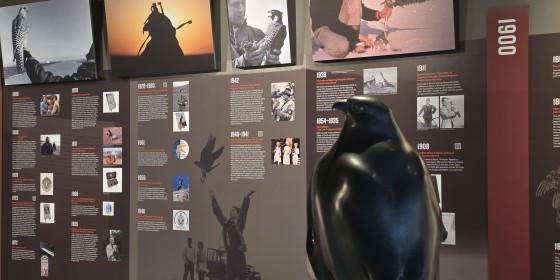 The Archives of Falconry display and statue