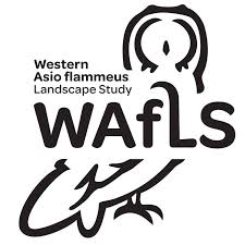 The logo for the Western Asio flammeus Landscape Study