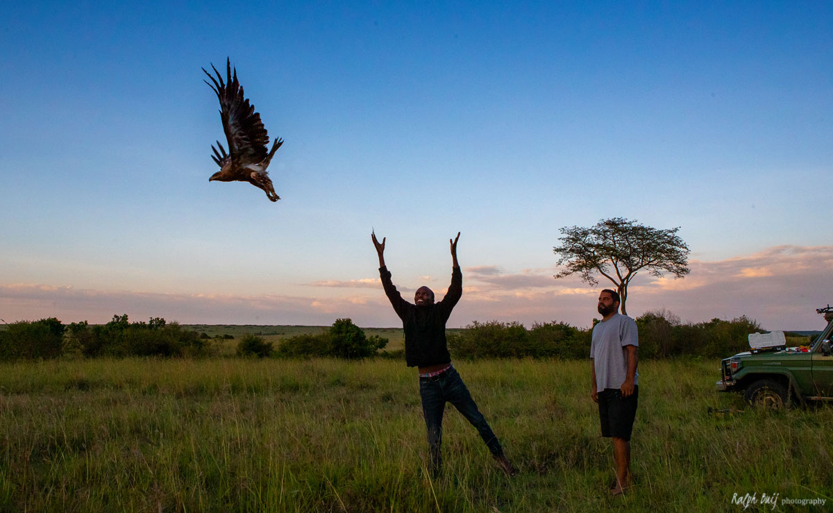 Releasing an eagle