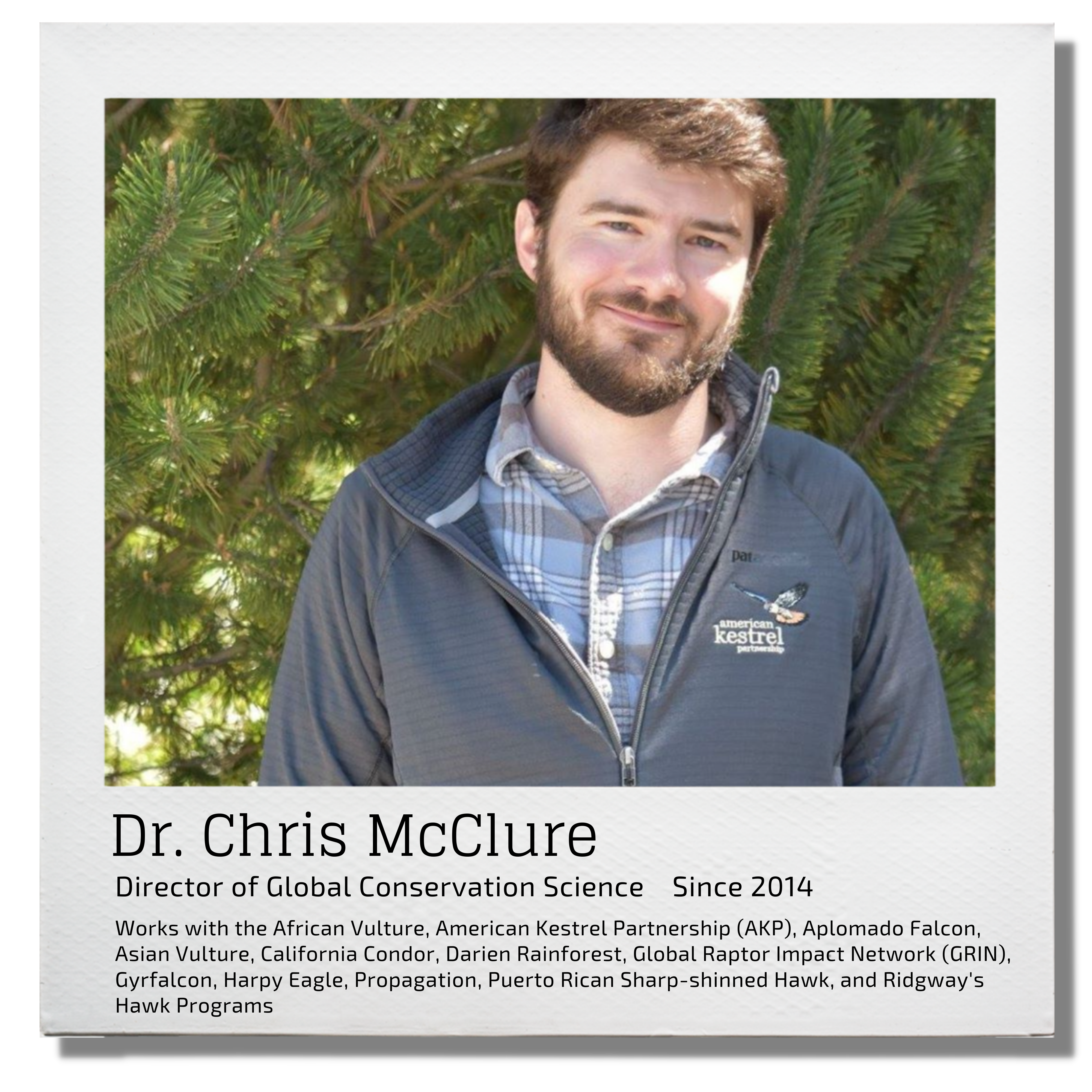 Dr. Chris McClure, Director of Global Conservation Since 2014, {&quot;A?&quot;:&quot;B&quot;,&quot;a&quot;:5,&quot;d&quot;:&quot;B&quot;,&quot;h&quot;:&quot;www.canva.com&quot;,&quot;c&quot;:&quot;DAEkLs9bWYU&quot;,&quot;i&quot;:&quot;RFZ5stNr_jSBcT-0lgKhWQ&quot;,&quot;b&quot;:1626297110259,&quot;A&quot;:[{&quot;A?&quot;:&quot;K&quot;,&quot;A&quot;:1607.5753113620983,&quot;B&quot;:202.16763273295896,&quot;D&quot;:1623.7029251900503,&quot;C&quot;:180.21678325352474,&quot;a&quot;:{&quot;A&quot;:[{&quot;A?&quot;:&quot;A&quot;,&quot;A&quot;:&quot;Works with the African Vulture, American Kestrel Partnership (AKP), Aplomado Falcon, Asian Vulture, California Condor, Darien Rainforest, Global Raptor Impact Network (GRIN), Gyrfalcon, Harpy Eagle, Propagat