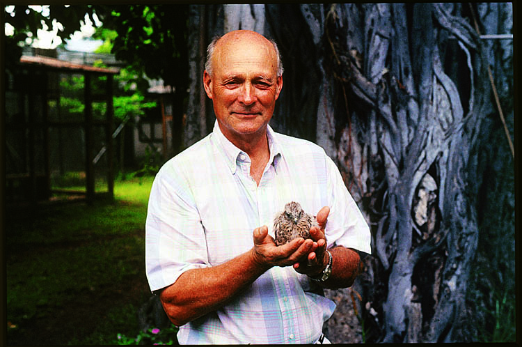 Peregrine Fund founder, Dr. Tom Cade, holding a nestling Mauritius Kestrel