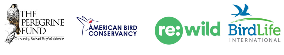 Logos of The Peregrine Fund, American Bird Conservancy, Re:wild, and Bird Life International 