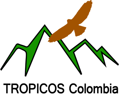 Logo with mountains and raptor