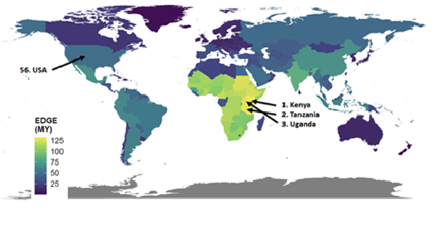 A map with different countries colored in shades of blue, purple, green, and yellow indicating raptor conservation priorities. Kenya, Tanzania, and Uganda are highlighted.