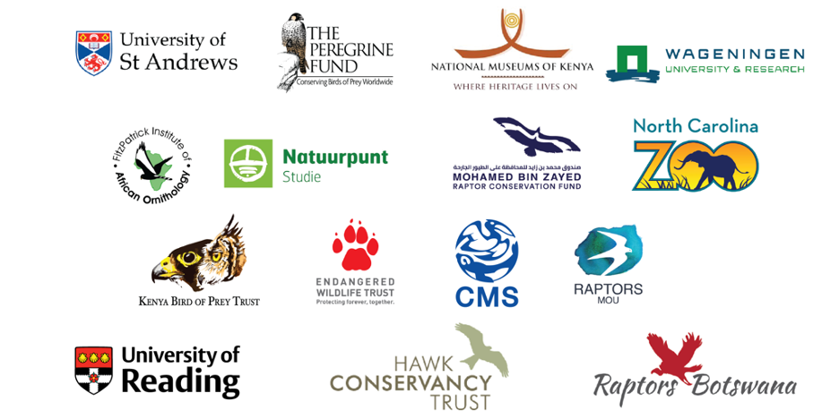 A collage of logos of the partners in this research and publication.