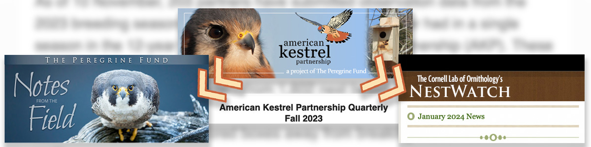 The AKP newsletter banner with arrows pointing to the banners of The Peregrine Fund's and NestWatch's newsletters