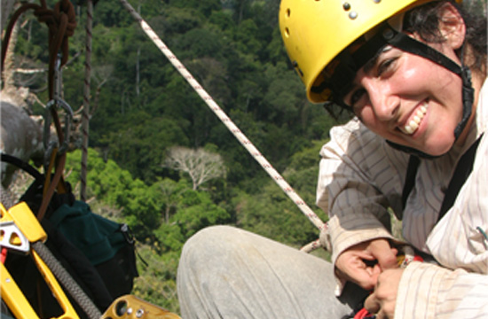 A smiling biologist in climbing gear high in a tree with treetops seen far below her in the background