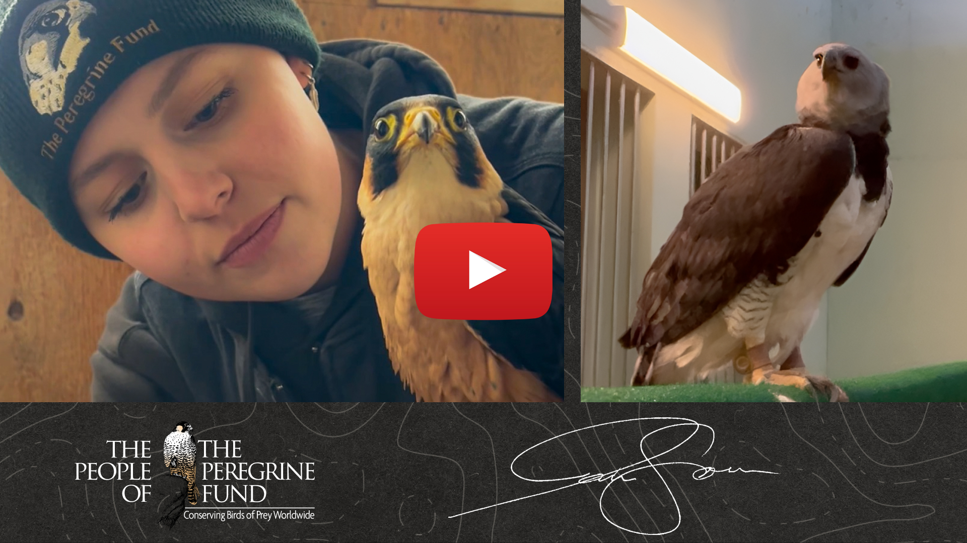 Two photos. Left shows Jadn Soper looking closely at ambassador Taita Falcon Chiku. Right is ambassador Harpy Eagle Grayson standing on a perch. Overlaid is text reading &quot;The People of The Peregrine Fund,&quot; a video play button, and Jadn's signature.