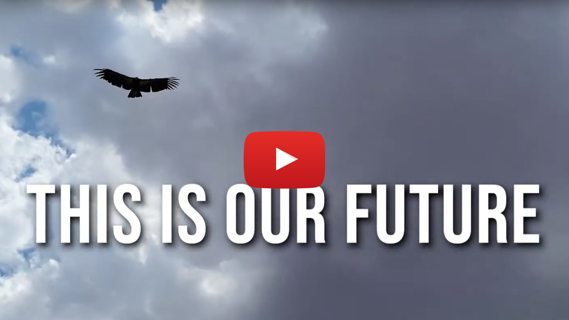A California Condor flying high overhead. Overlaid is text reading &quot;This Is Our Future&quot; and a video play thumbnail.