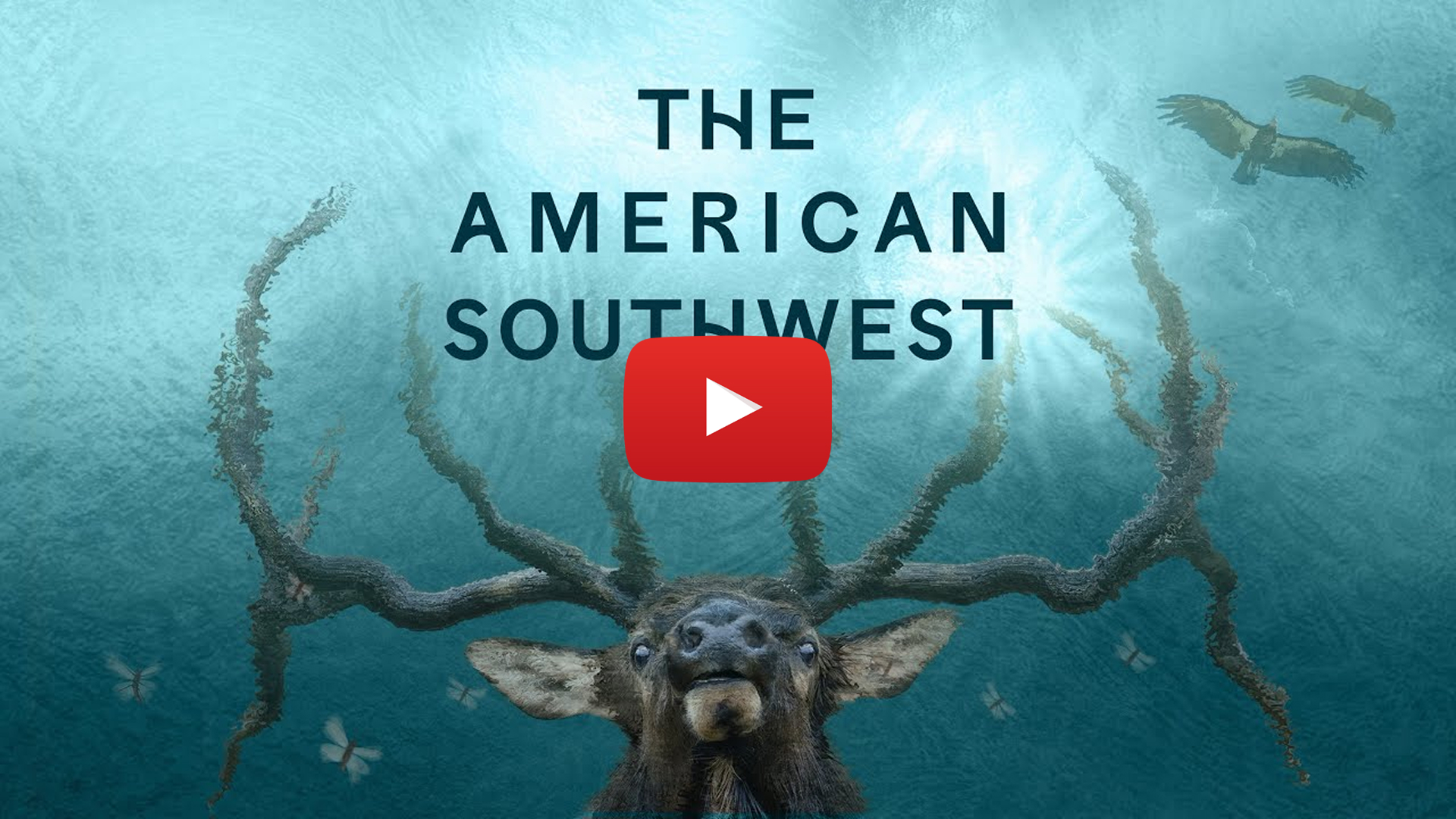 The poster for the film &quot;The American Southwest.&quot; Overlaid is a video play button.