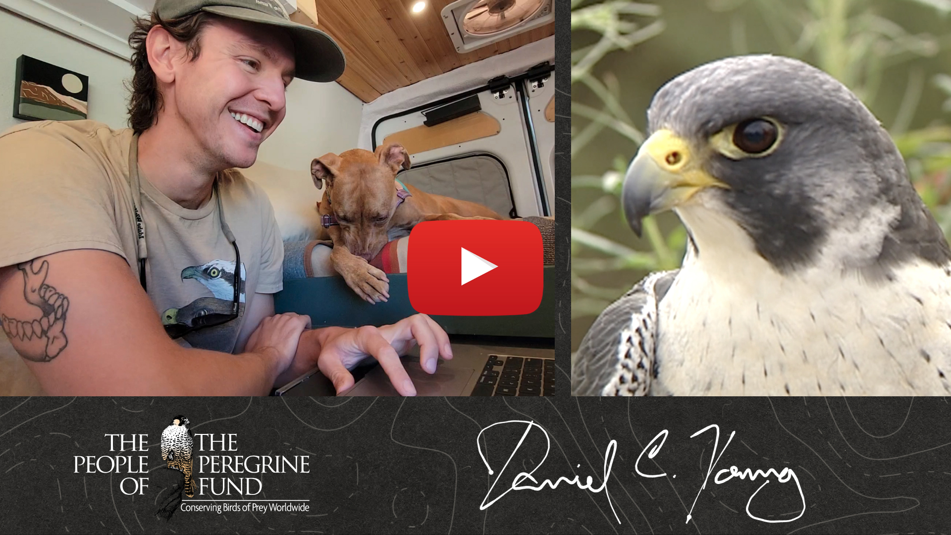 Two photos. Left shows Dan Young sitting in his computer along with his dog Binny. Right shows a closeup of a Peregrine Falcon. Overlaid is a video play button, The Peregrine Fund's logo, and Dan's signature.