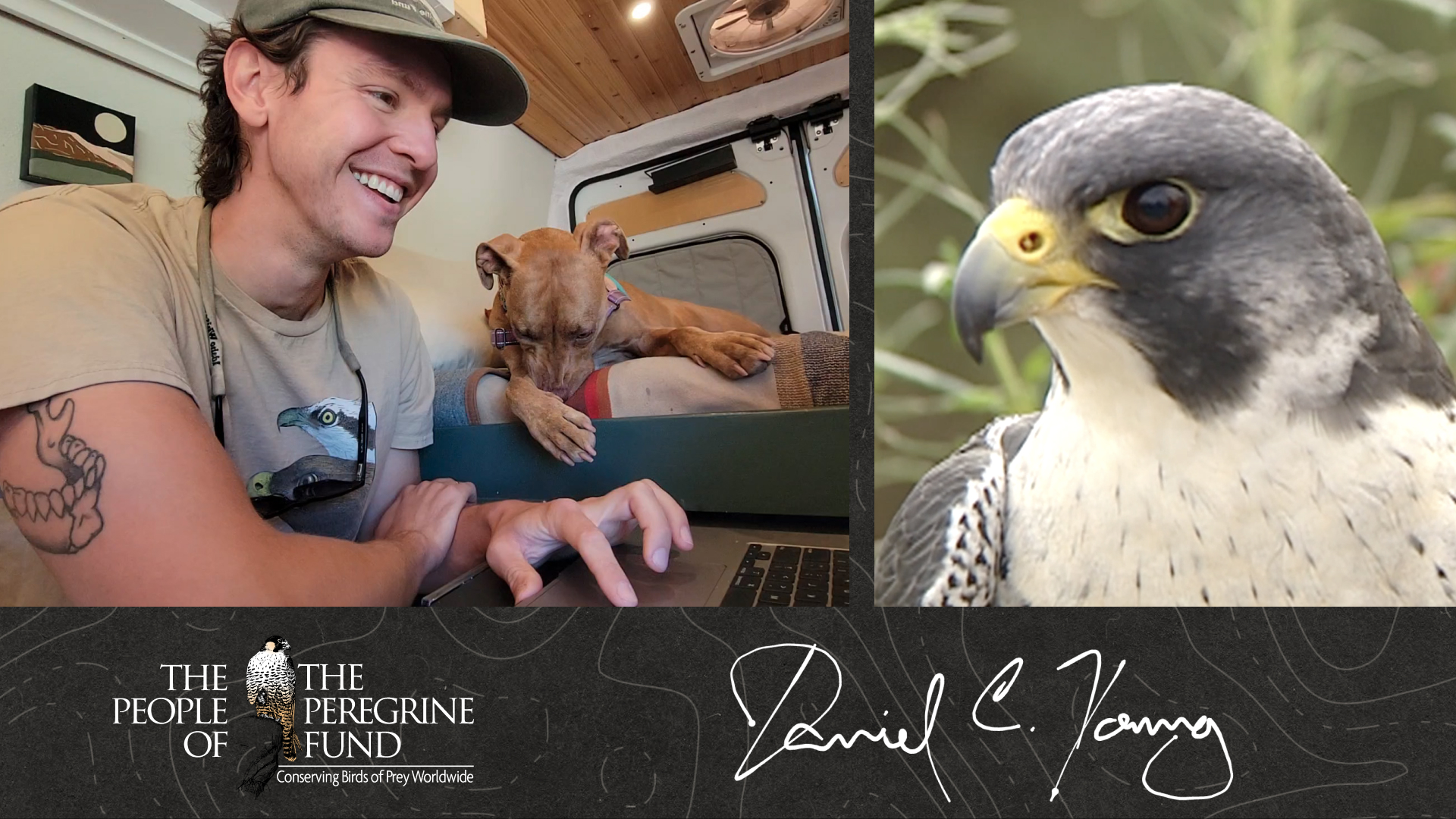 Two photos. Left shows Dan Young sitting in his computer along with his dog Binny. Right shows a closeup of a Peregrine Falcon. Overlaid is The Peregrine Fund's logo and Dan's signature.