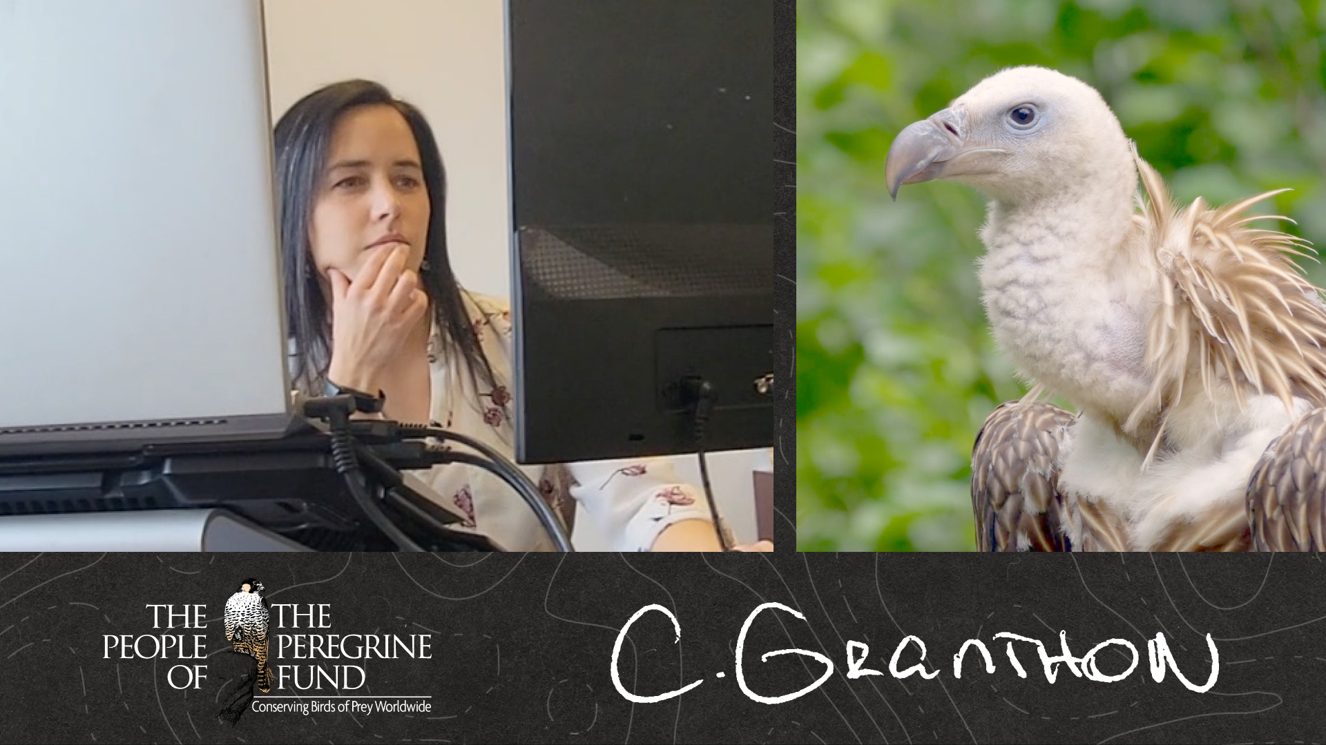 Two photos. Left shows Carolina Granthon working at her computer. Right shows a closeup of the head of a vulture. Overlaid is The Peregrine Fund's logo and Carolina's signature.