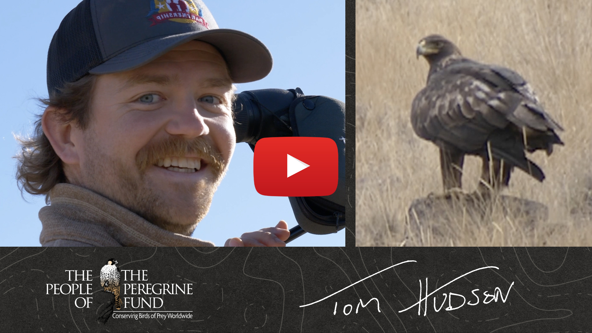 Two photos. Left shows biologist Tom Hudson smiling at the camera and holding a spotting scope. Right shows a Golden Eagle sitting in a grassy field. Overlaid is a video play button, The Peregrine Fund's logo, and Tom's signature.
