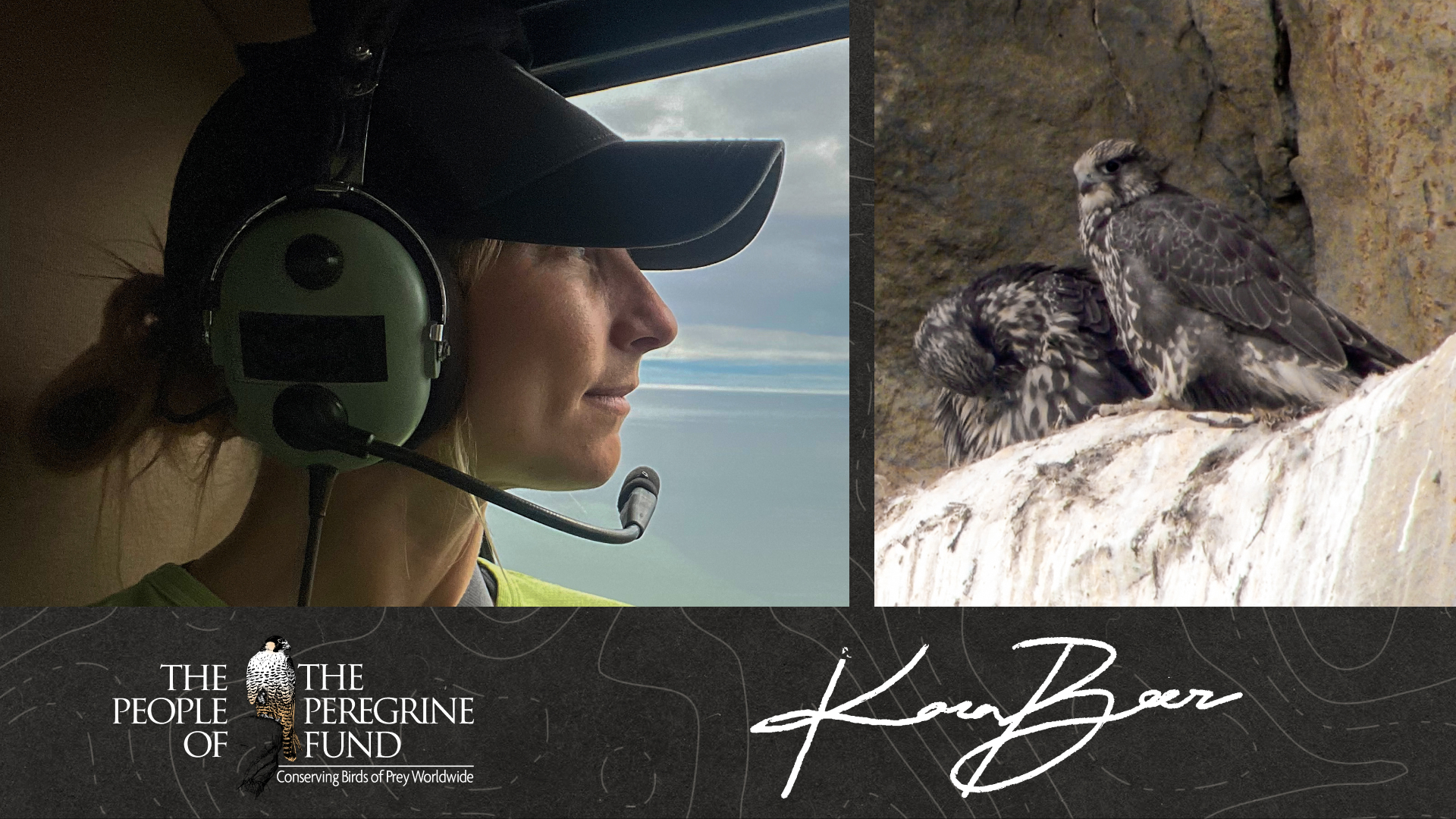 Two photos. Left is biologist Kara Beer looking out the window of a helicopter at the Alaskan tundra. Right is two young Gyrfalcons in their cliffside nest. Overlaid is The Peregrine Fund's logo and Kara's signature.