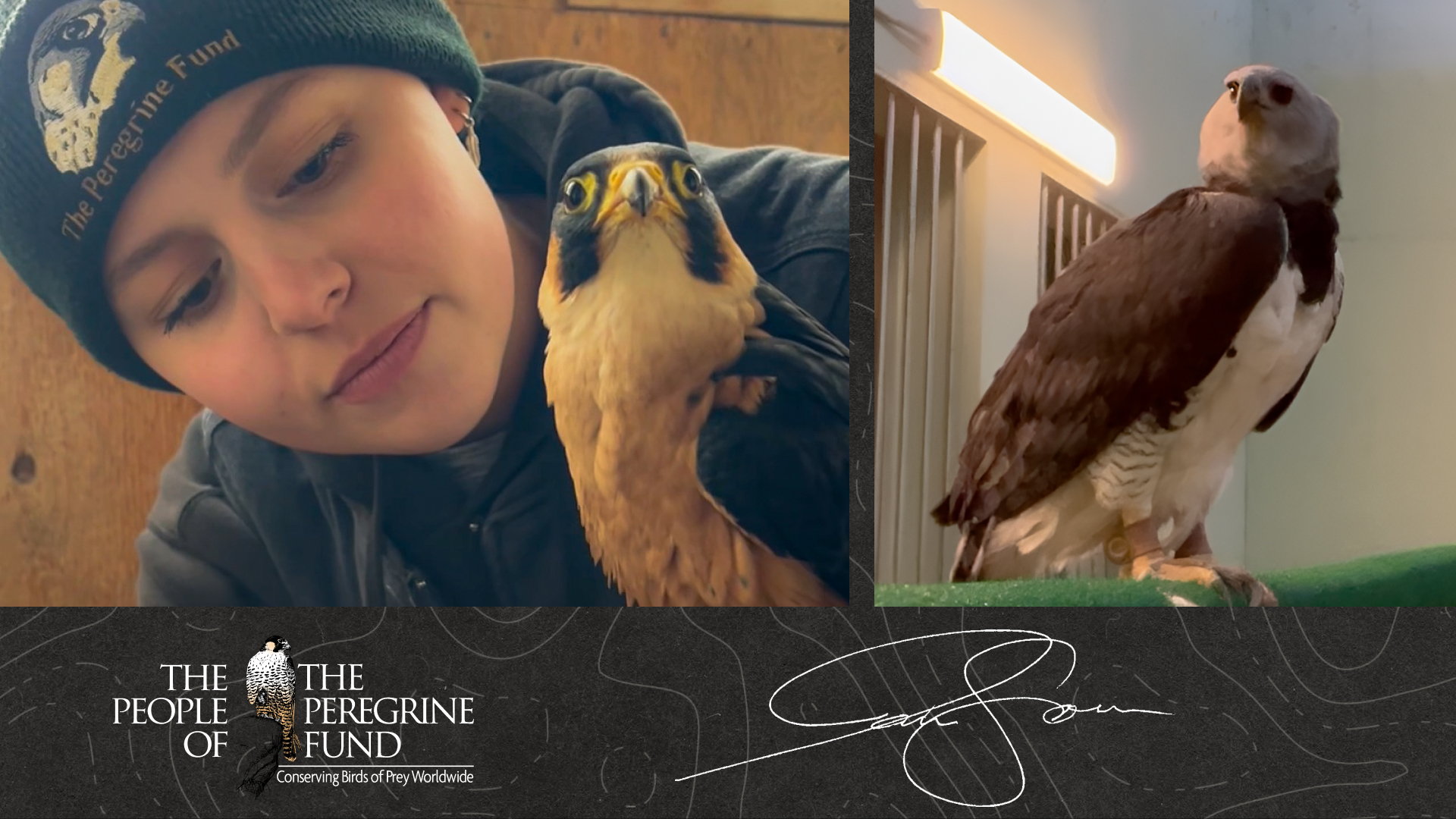 Two photos. Left shows Jadn Soper looking closely at ambassador Taita Falcon Chiku. Right is ambassador Harpy Eagle Grayson standing on a perch. Overlaid is text reading &quot;The People of The Peregrine Fund&quot; and Jadn's signature.