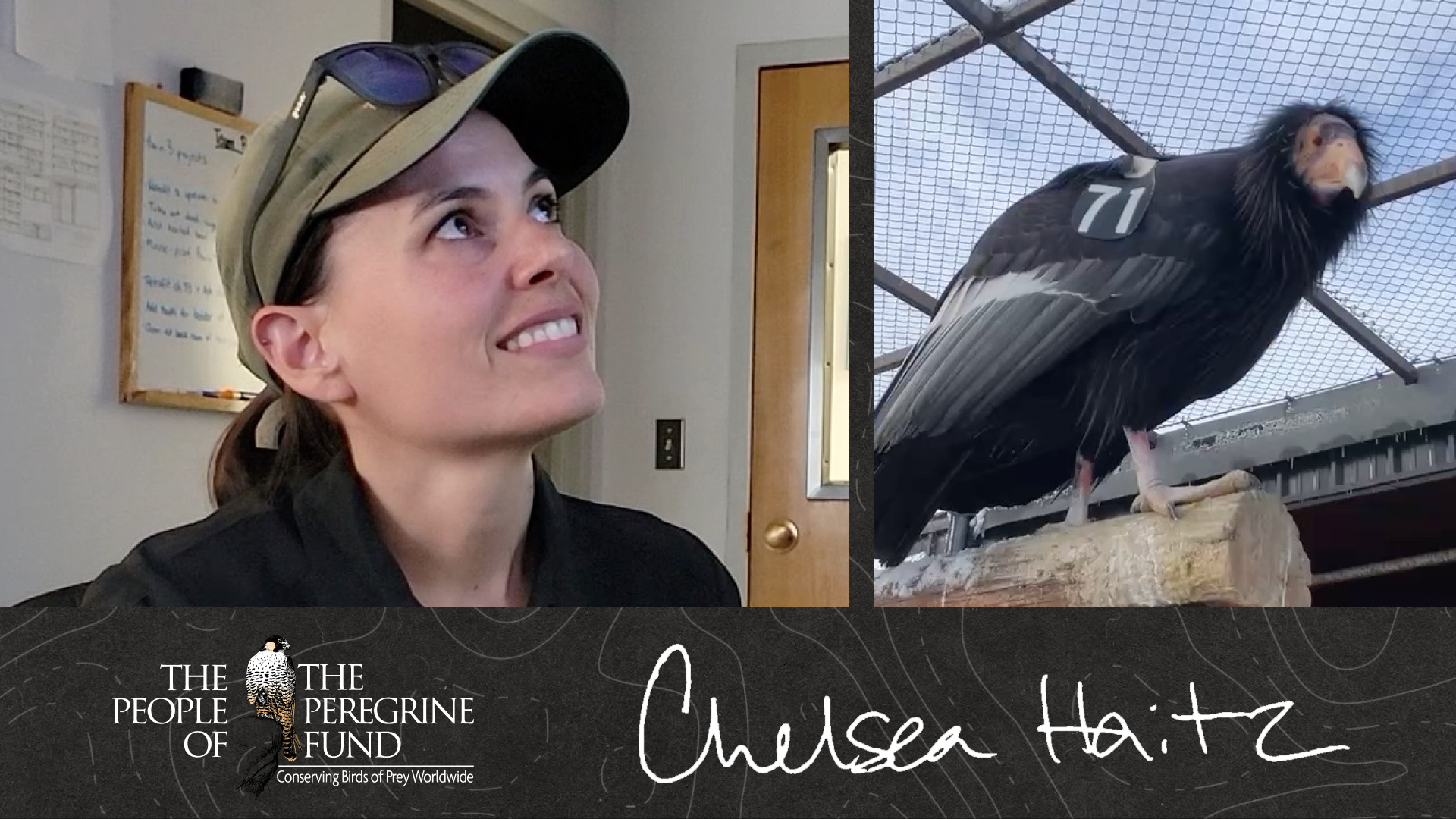 Two photos. Left shows Chelsea Haitz looking at a computer monitor and smiling. Right shows a California Condor on a perch in our propagation facility. Overlaid are Chelsea's signature and text reading &quot;The People of The Peregrine Fund.&quot;