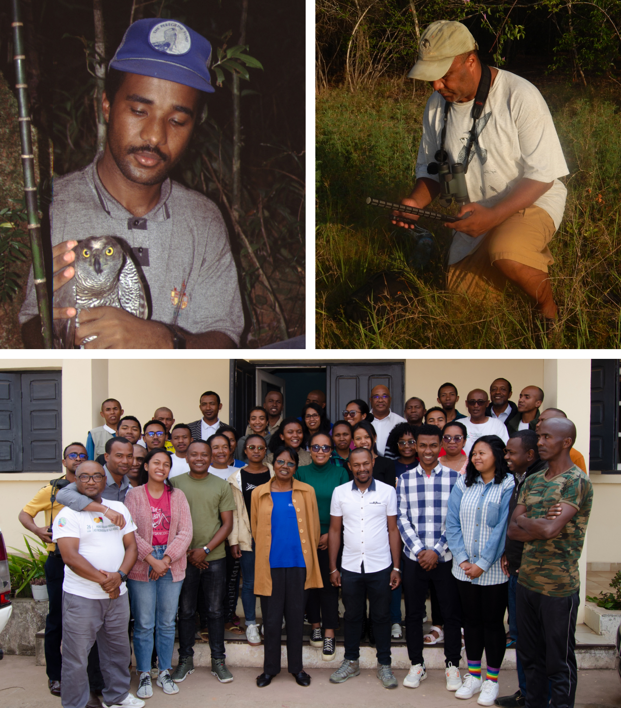 Three photos. Top left shows Lily banding a Henst's Goshawk in 1995. Top right shows Lily in the field recording a bird call with a shotgun microphone. Bottom is a group photo of members of The Peregrine Fund's Madagascar team.