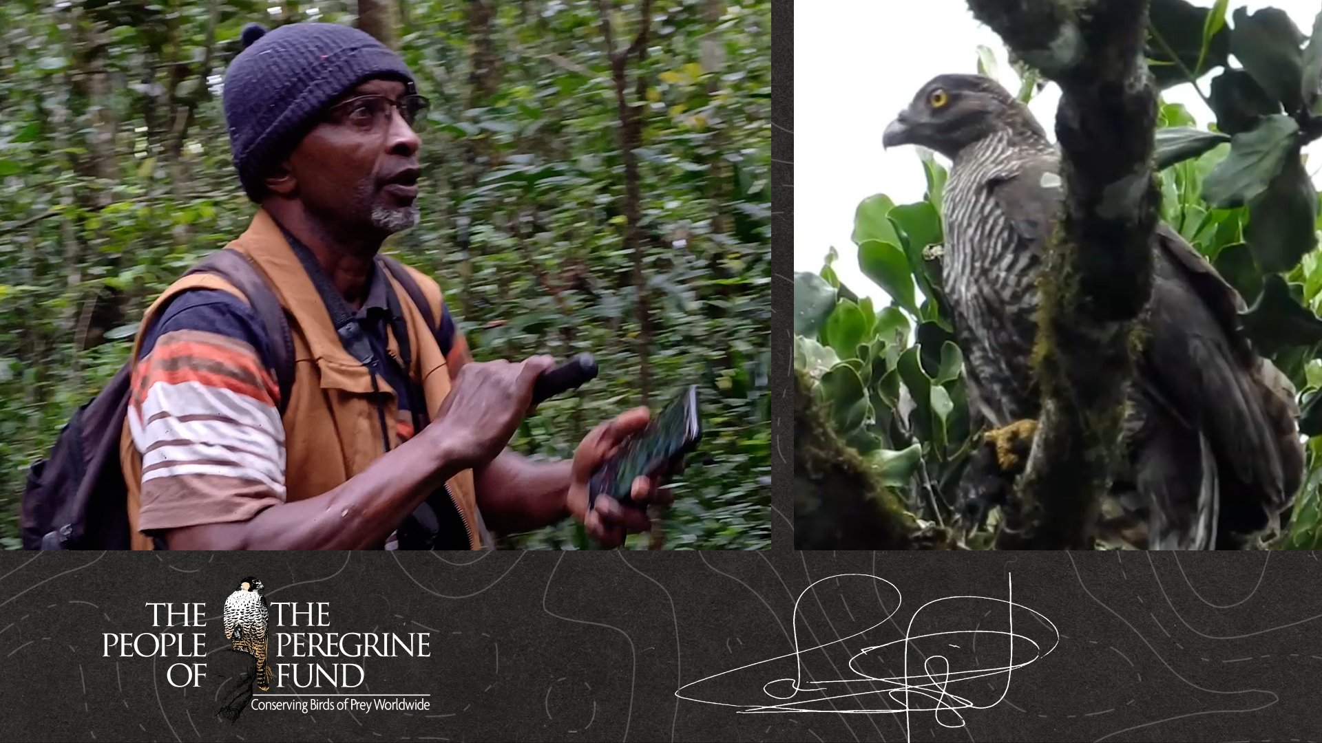Two photos. Left shows Loukman walking on a survey carrying equipment; right shows a Madagascar Serpent-eagle perched on a branch. Overlaid is Loukman's signature and text reading "The People of The Peregrine Fund."