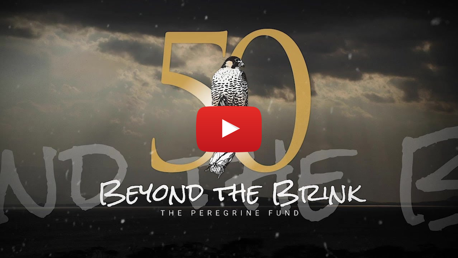 Video thumbnail for the film Beyond the Brink.