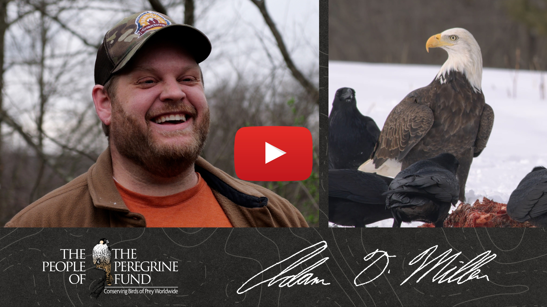 A graphic combining several images. Left is Adam Miller smiling. Right is a Bald Eagle and several Common Ravens feeding on a carcass. Overlaid are a video play button, the words "The People of The Peregrine Fund," and Adam's signature.