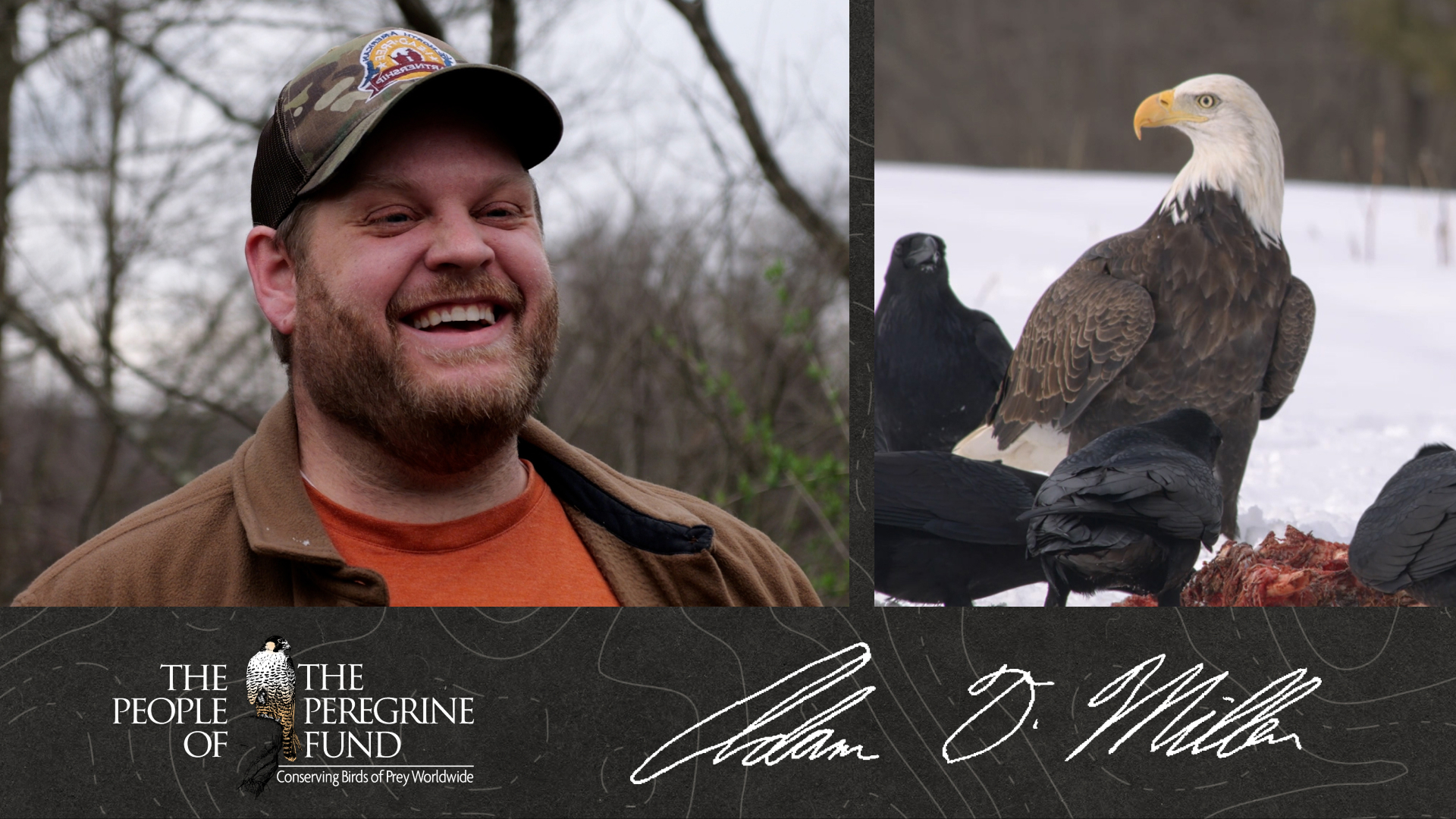 A graphic combining several images. Left shows Adam Miller smiling. Right shows a Bald Eagle and several Common Ravens feeding on a carcass. Overlaid are Adam's signature and text reading "The People of The Peregrine Fund."