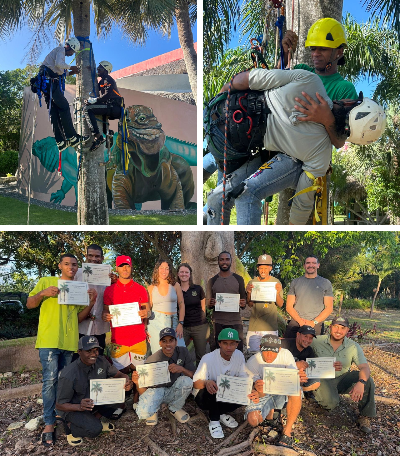 Three photos. Top two show climbing workshop participants in a tree practicing techniques. Bottom is a group photo of workshop participants with their completion certificates.