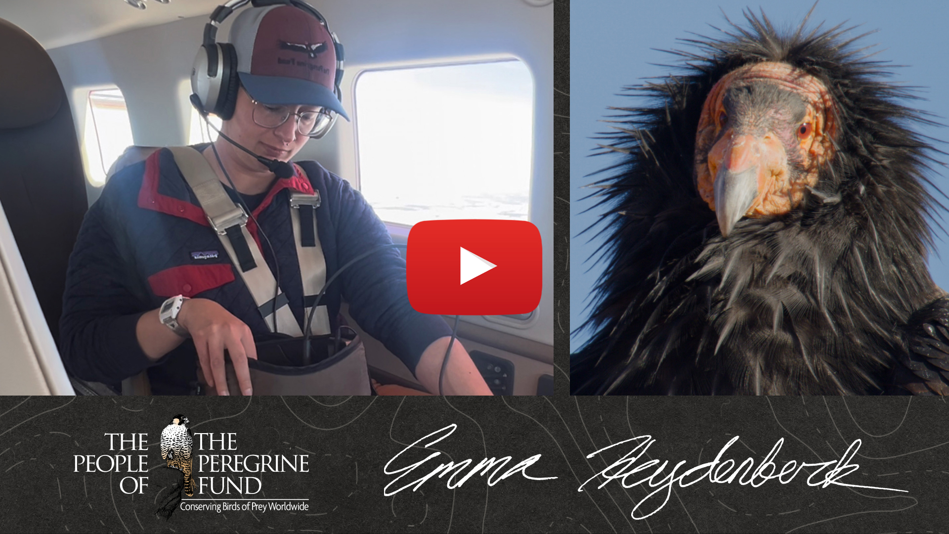 Two photos. Left is Emma Heydenberk in a small plane working a radio tracker. Right is a closeup of the face of a California Condor. Overlaid is Emma's signature and a video play button.