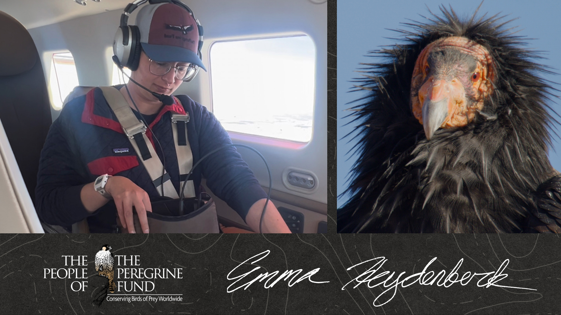 Two photos. Left is Emma Heydenberk in a small plane working a radio tracker. Right is a closeup of the face of a California Condor. Overlaid is Emma's signature and text reading "The People of The Peregrine Fund."