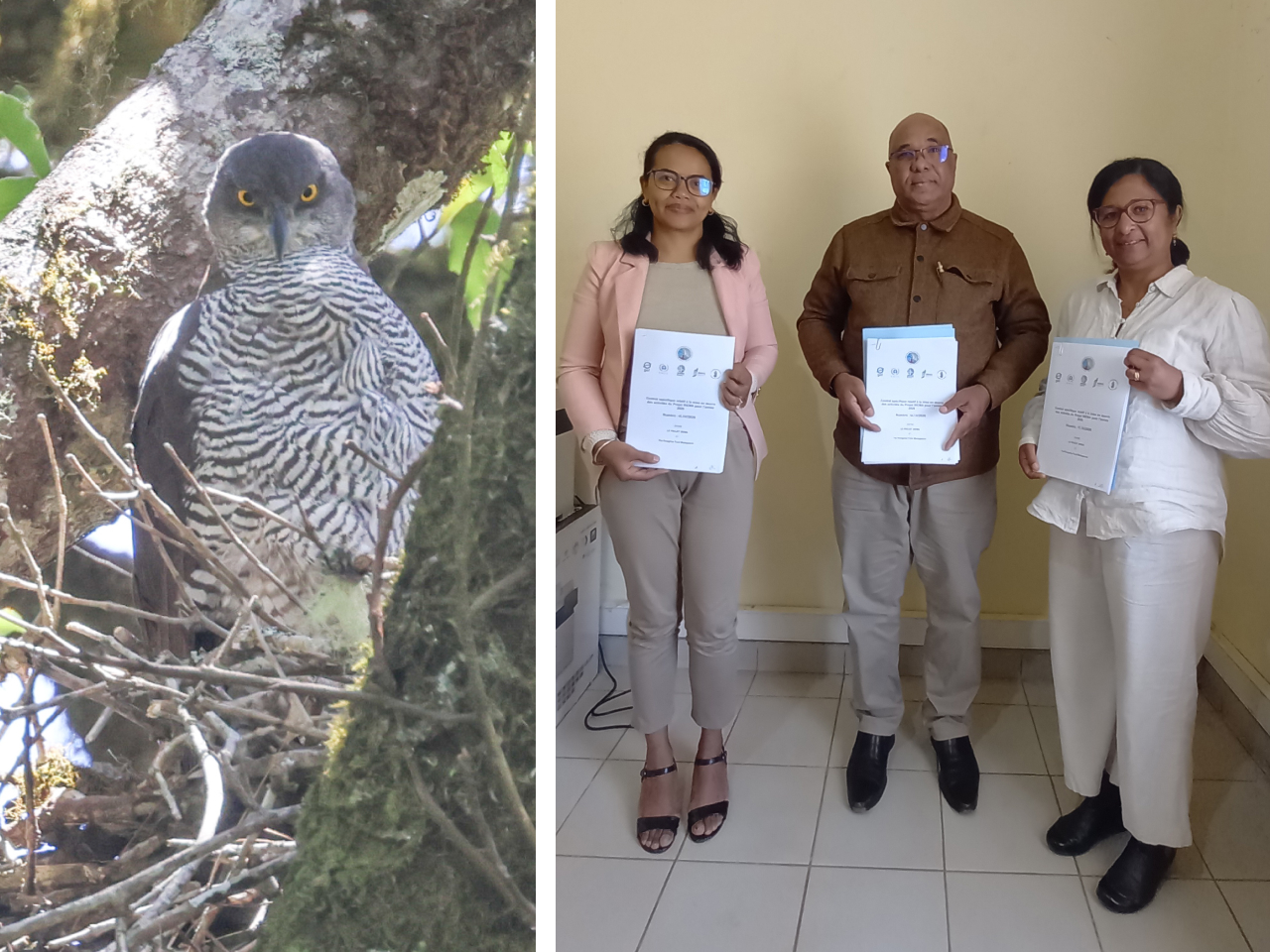 Two photos. Left is a Henst's Goshawk in dense Madagascar forest. Right is three TPF and IREMA project members holding signed contracts.