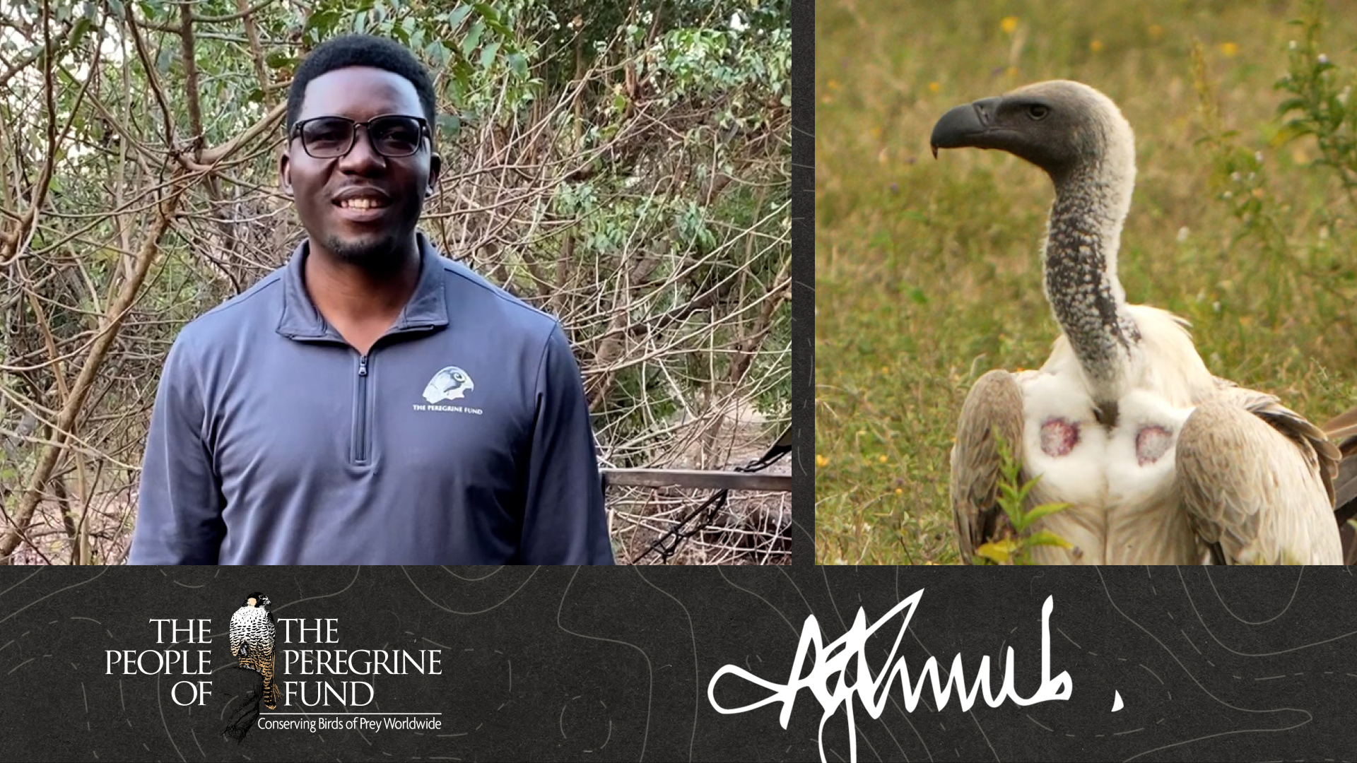 A graphic combining an image of Msafiri Mgumba, a closeup of an Old World vulture, Msafiri's signature, and text reading "The People of The Peregrine Fund."