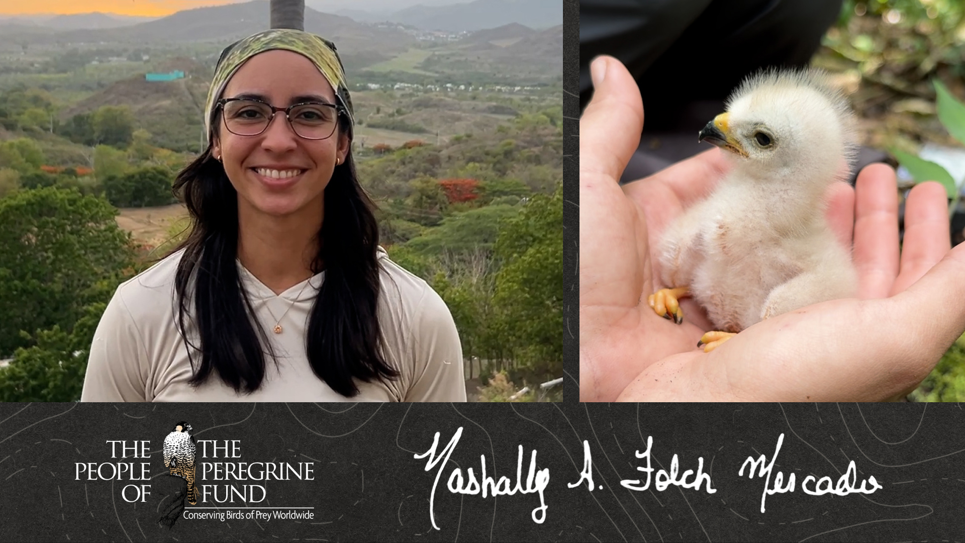 Two photos. Left is a closeup of Nashally Folch Mercado. Right is a closeup of a young hawk being examined by a biologist. Overlaid is Nashally's signature.