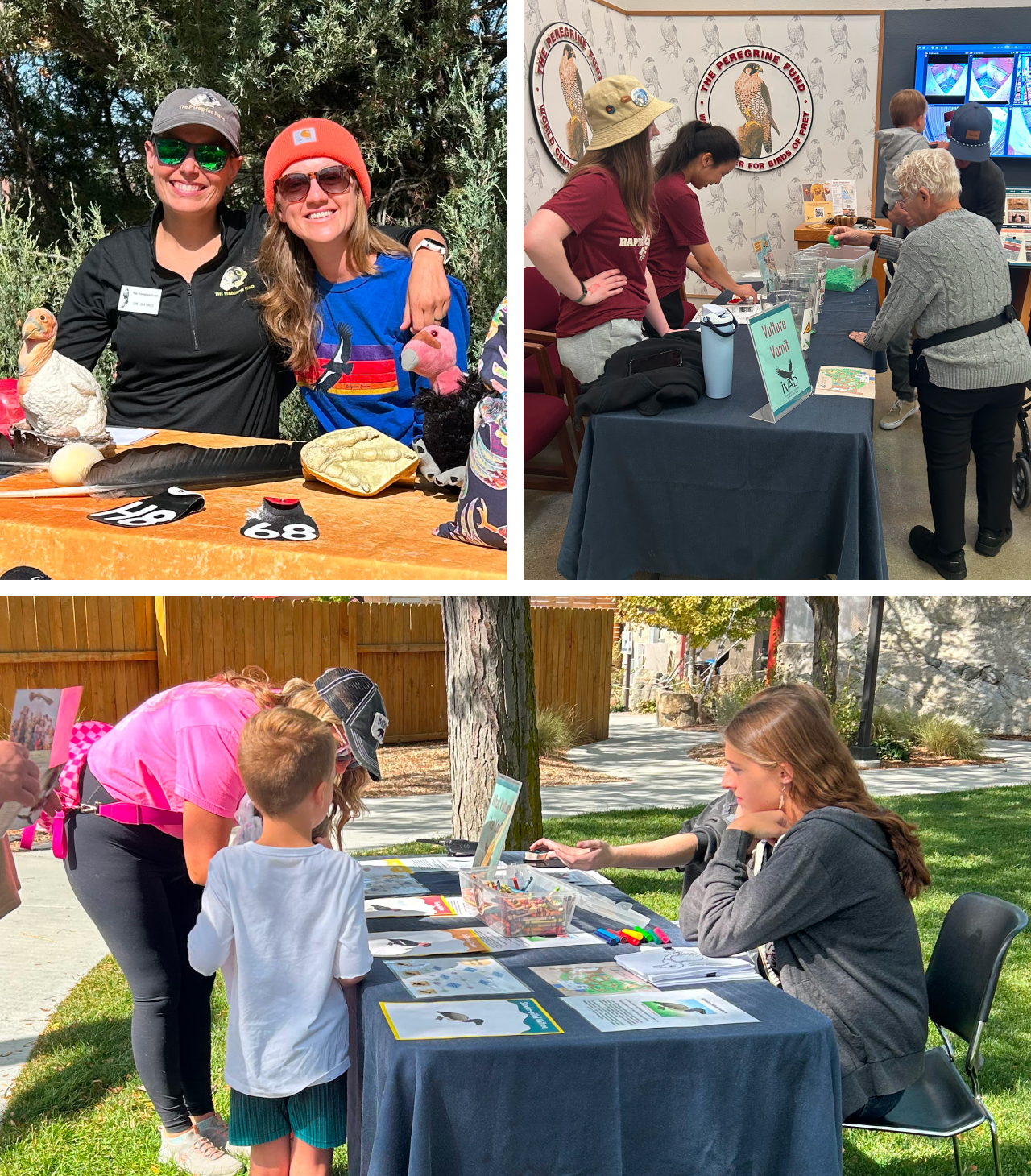 Three photos. Top left is two members of our propagation team smiling behind an educational display. Top right and bottom show guests visiting other vulture displays.