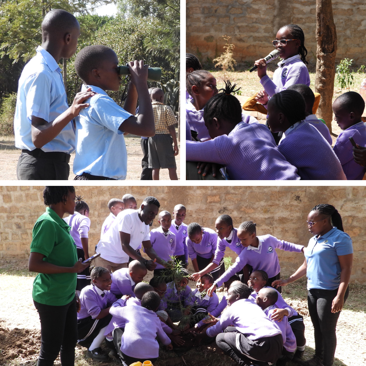 Three photos from an International Vulture Awareness Day event in Kenya. Top left is students looking through binoculars. Top right is a student speaking into a microphone during a debate. Bottom is a group of students planting a tree.