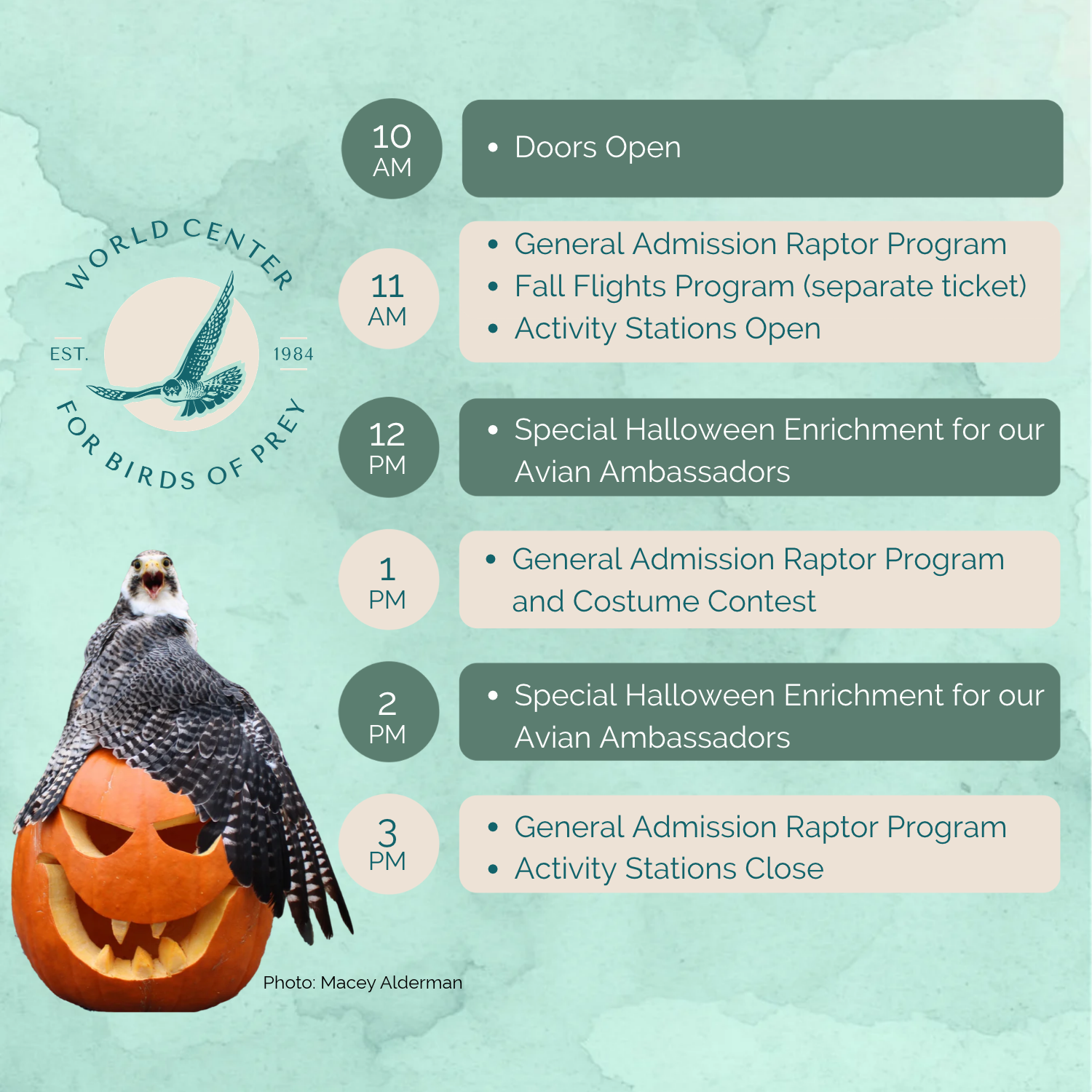 10 am - Open, 11 am - Program and activities, 12 am Enrichment, 1 pm - Program and Costume Contest, 2 pm - Enrichment, 3 pm - Program and event stations close