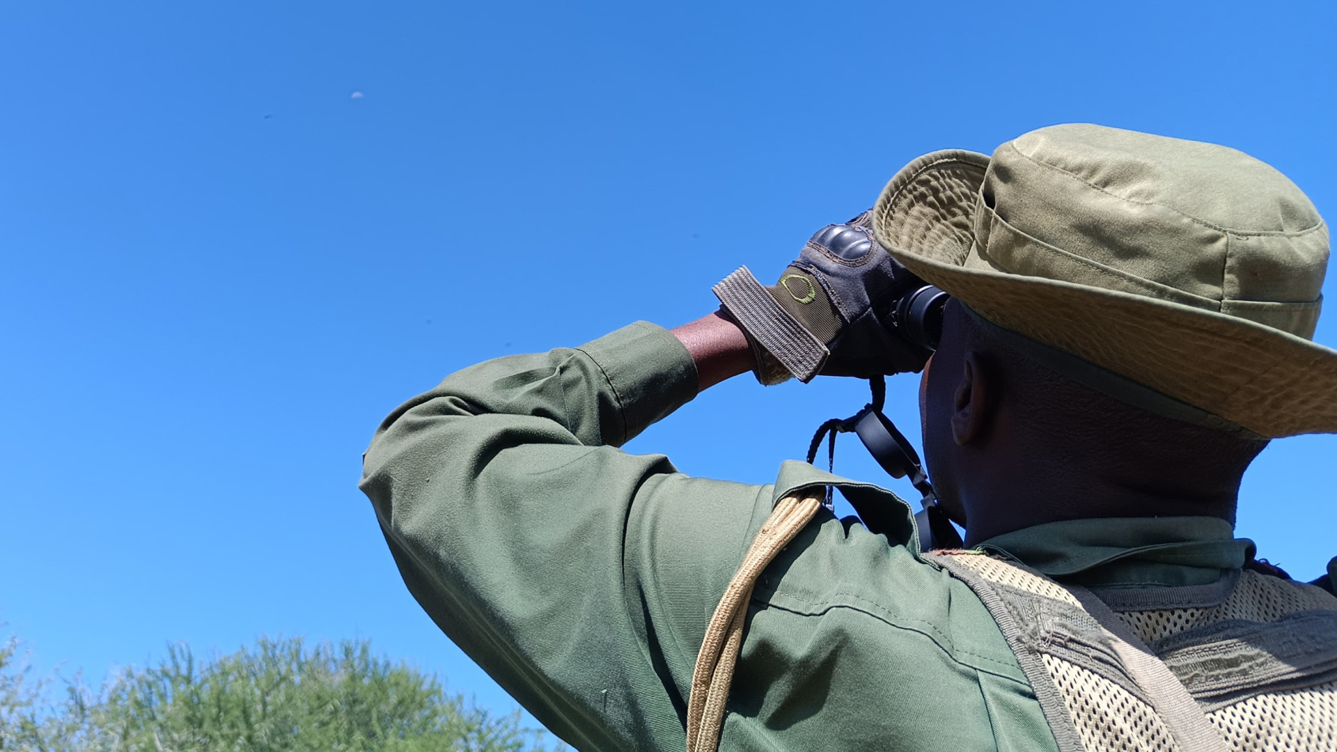 A biologist seen from behind using binoculars to look at a distant flying vulture.