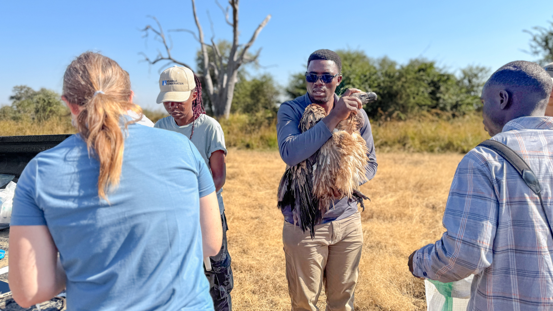 TPF Southern Africa biologists banding a vulture.