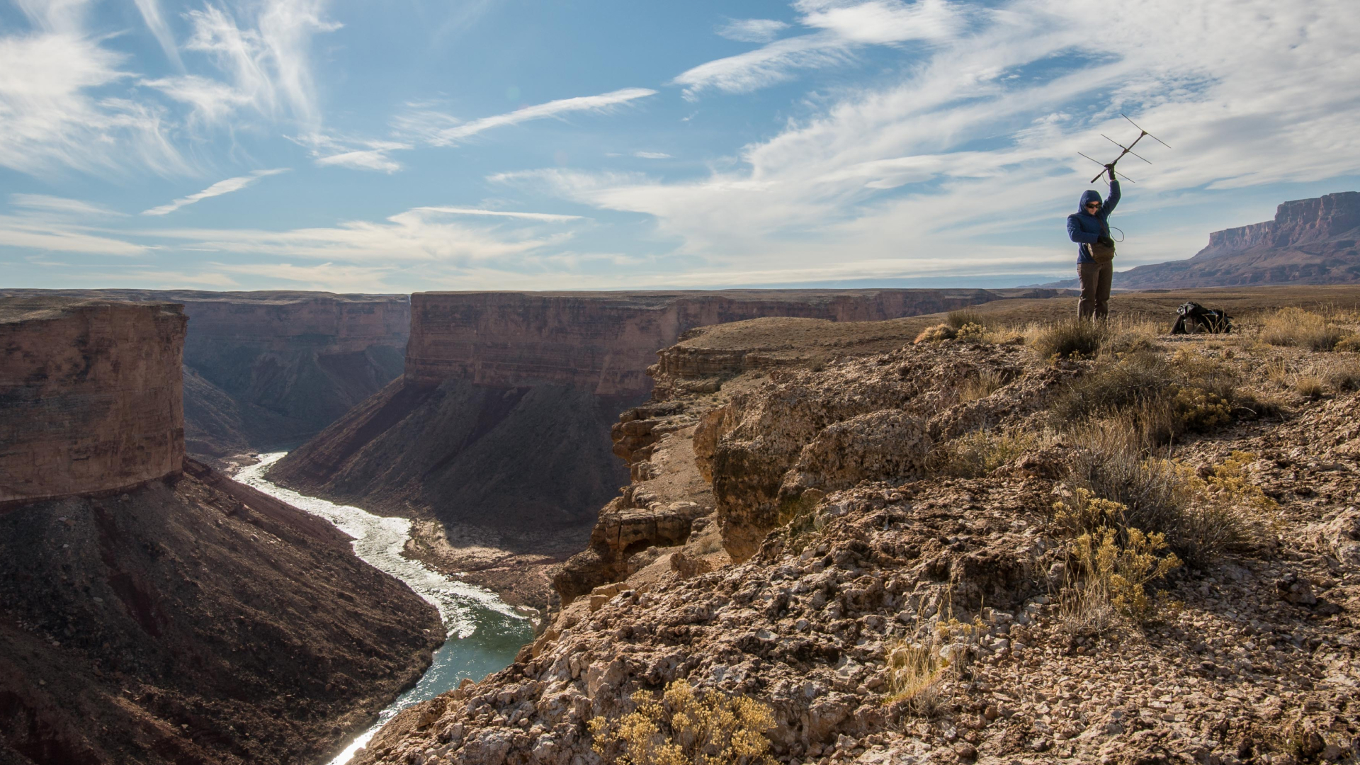One of our condor field biologists standing at the top of Marble Canyon, AZ using a radio antenna to track tagged California Condors with the Colorado River flowing far below.