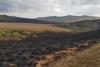 Protective Firebreak