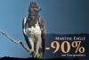 Martial Eagle
