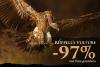 Rüppell's Vulture
