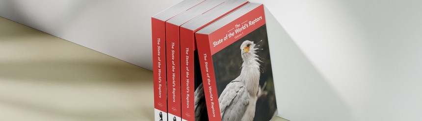 A mockup of a stack of four copies of the new book "State of the World's Raptors" sitting on a shelf.