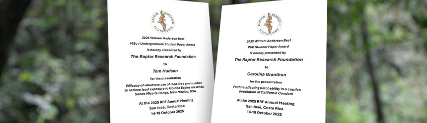 Two Andersen Award certificates superimposed on a rainforest background.