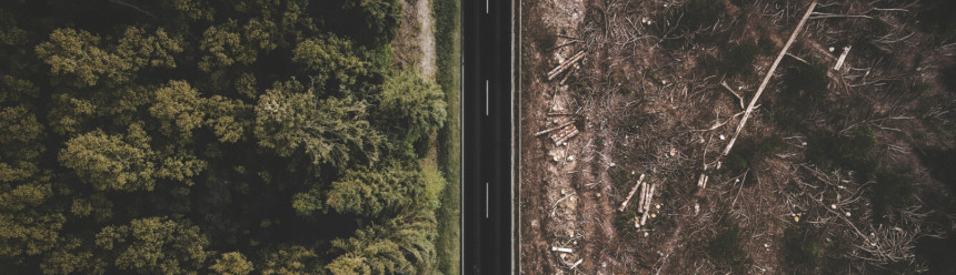 A birds-eye view of a road; one the left side is dense forest, while the right is clear-cut bare ground.