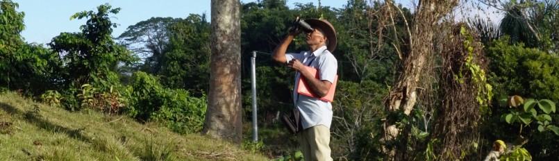 A man standing with troptical trees behind him holding a clipboard and looking at something through binoculars