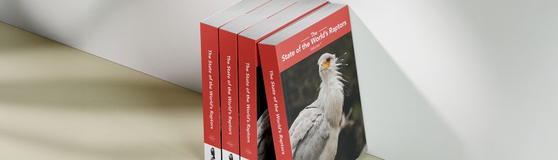 A mockup of a stack of four copies of the new book "State of the World's Raptors" sitting on a shelf.
