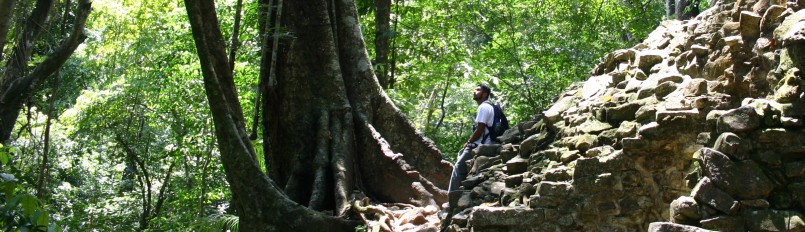 Julio Gallardo leaning against a rocky ruin and looking up at the surrounding rainforest.