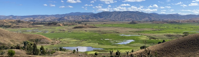 A scenic Madagascar landscape with lush agricultural fields and distant hills.