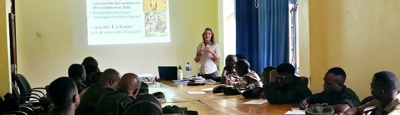 Park rangers gathered at a conference table watch a presentation given by Peregrine Fund staff.