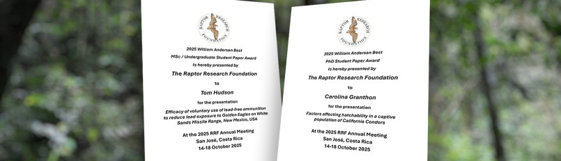 Two Andersen Award certificates superimposed on a rainforest background.